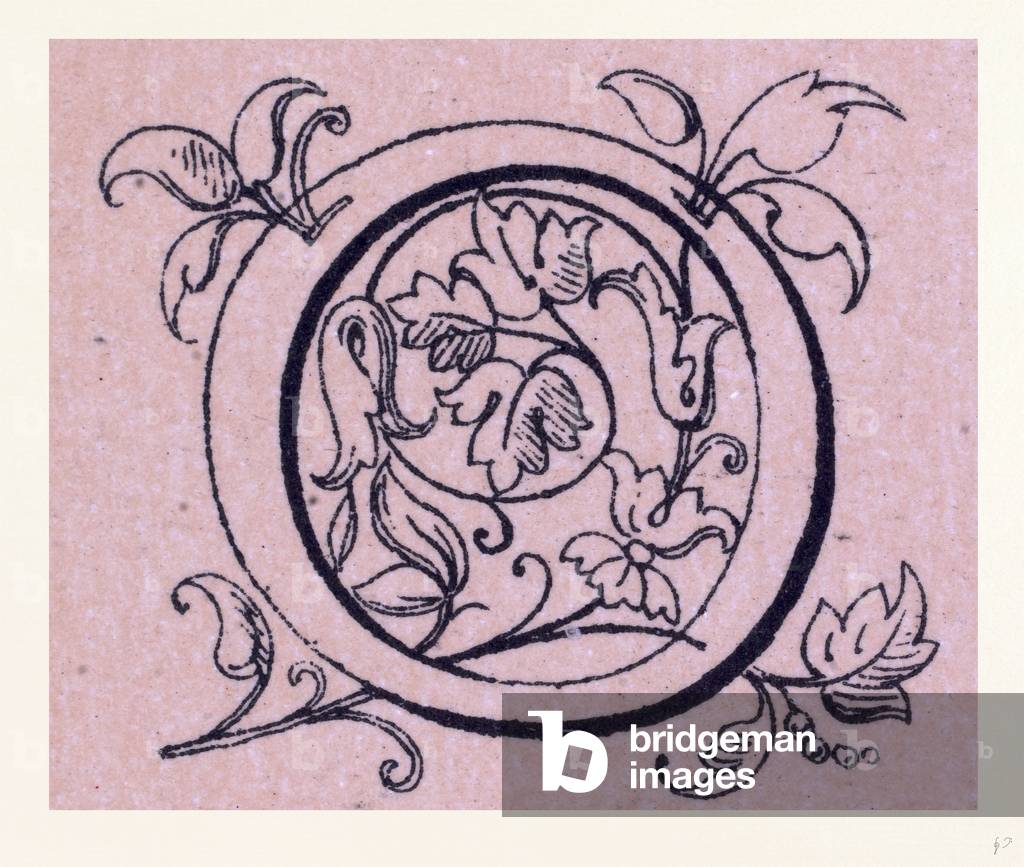 Bild von Druck "Italienisches Ornament"