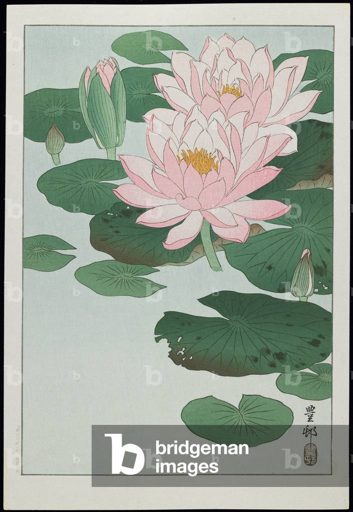 Bild von Druck "Seerose" 1930 von Ohara Koson
