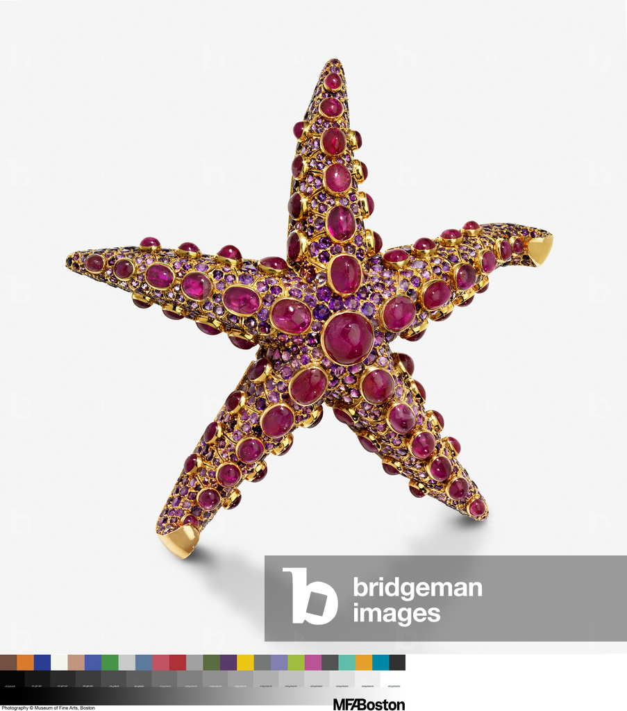Bild von Schmuck "Seestern-Brosche" 1937 von Juliette Moutard