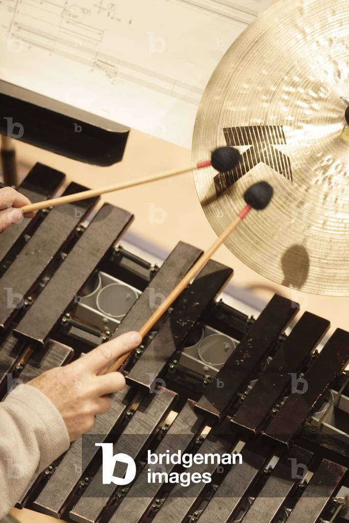 Strumenti a percussione - musicista che colpisce piatti con battenti. Marimba e segna.