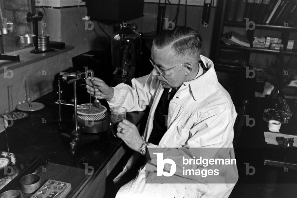 Immagine di Fotografia "Presso i laboratori del centro tecnico per le conserve di Magdeburg", b/w