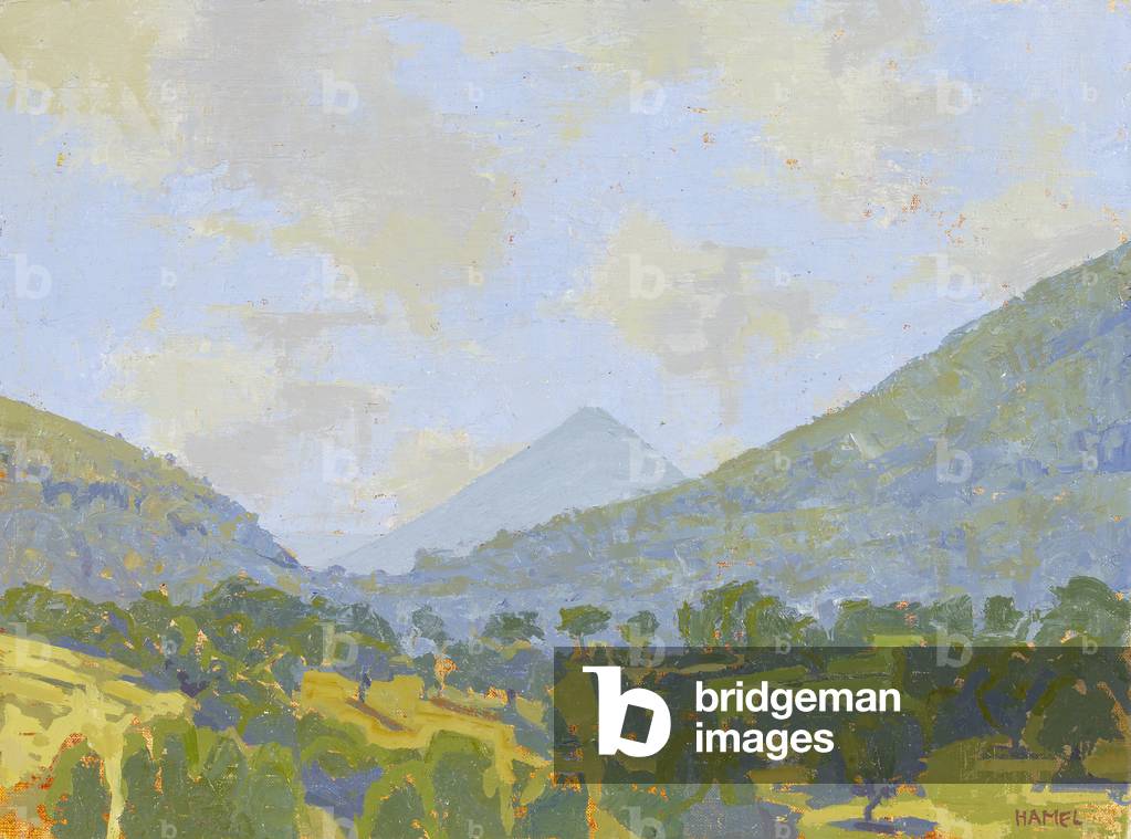 Immagine di Dipinto "Primavera mattina nelle Marche" 2010 di Francis Hamel