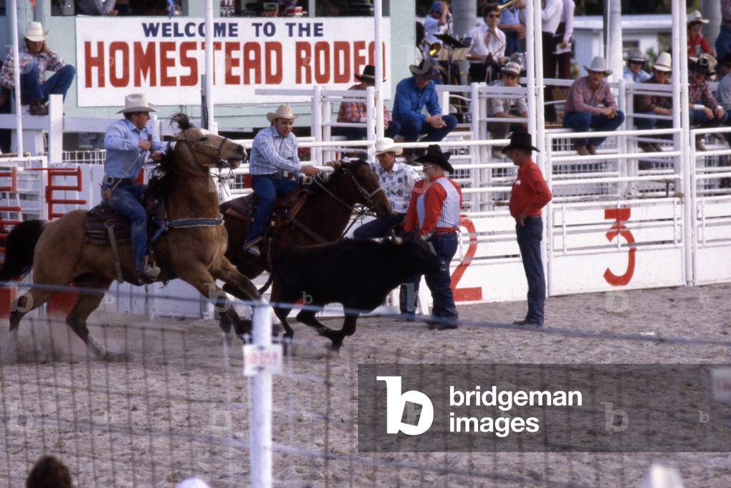 "Homestead Rodeo", c.1985