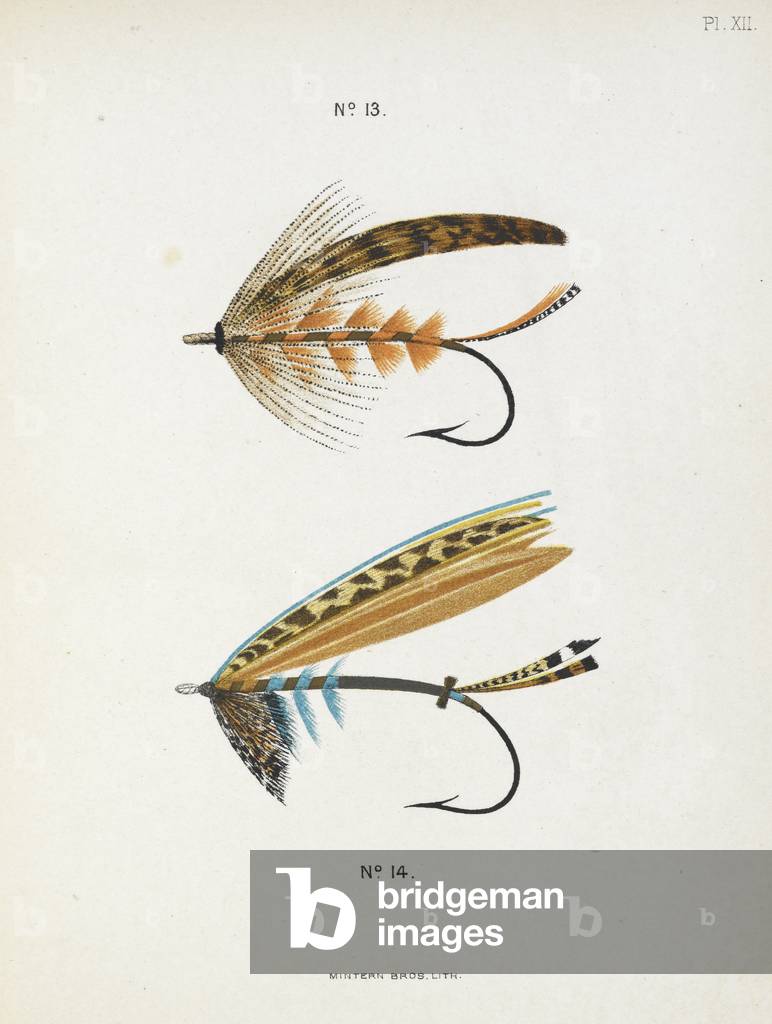 Fishing Tackle
