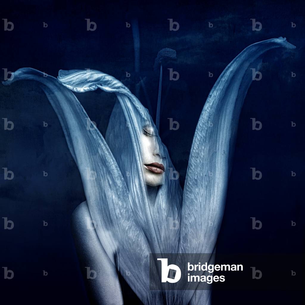 Schöne Monster 3, 2018 (digitale Fotokunst)