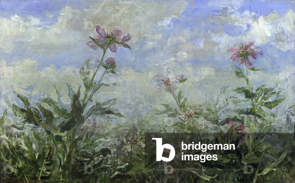 Peonie contro Cielo, 2008 (olio e tempera su pannello)