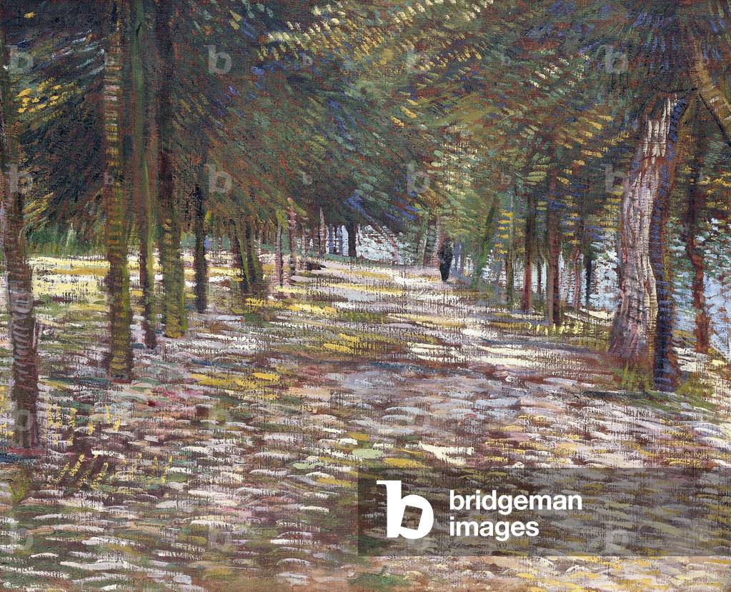 il viale al parco di Voyer-d' Argenson a Asnieres, 1887 (olio su tela)
