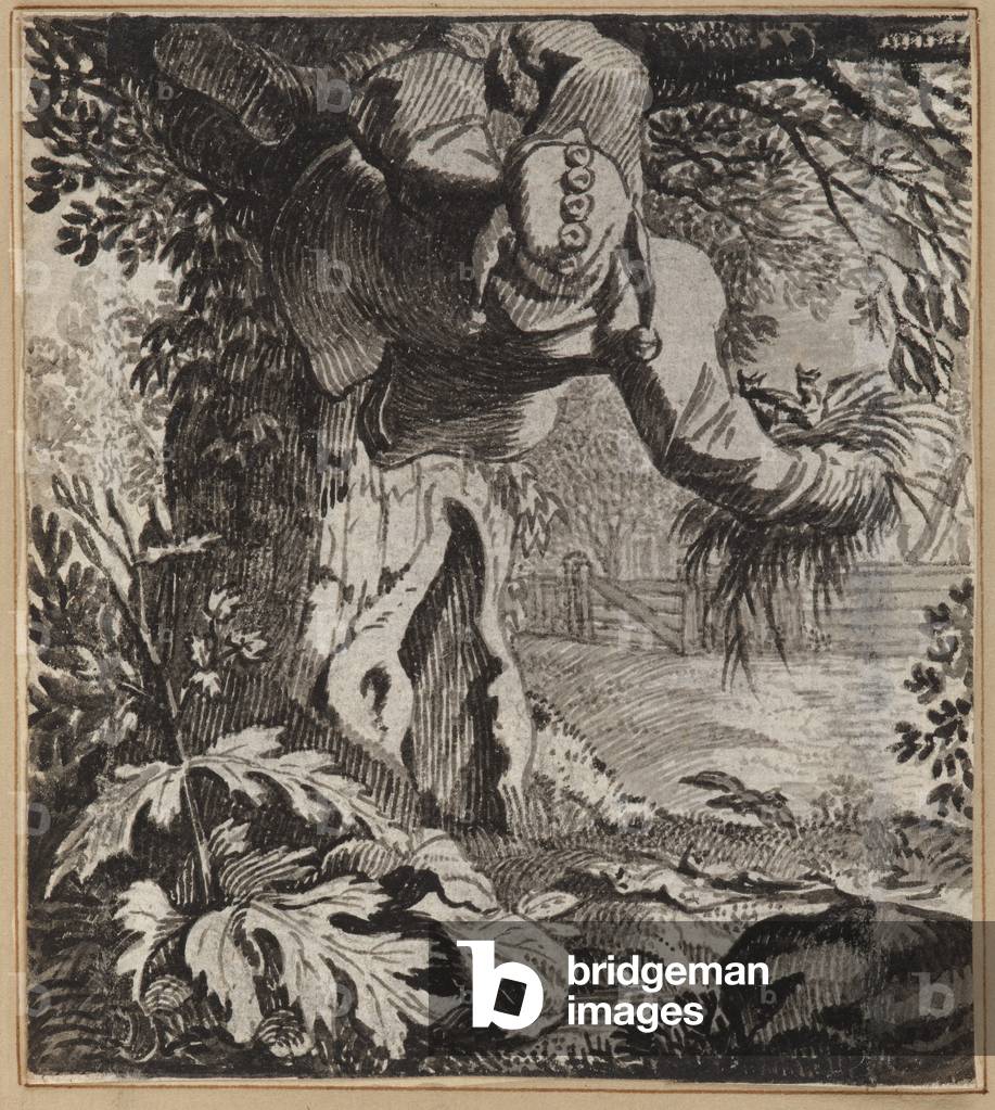 Immagine di Disegno "The Audacious Fool" 1660 di Wilhelm Stettler