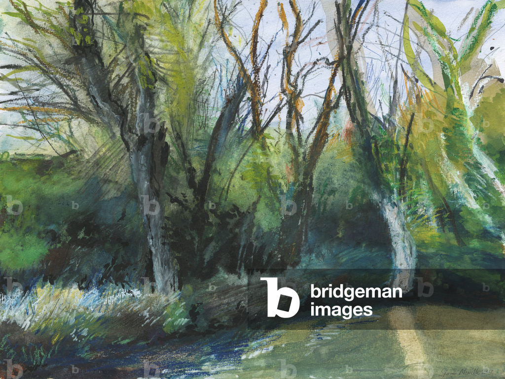 Latchmere Brook, Ham Common (Aquarell, Ölpastell, Tinte, Acryl und Graphit auf Papier)