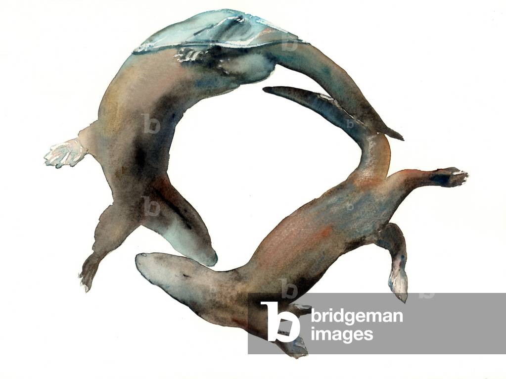 Immagine di Disegno "

Underwater Ballet" 2014 di Mark Adlington