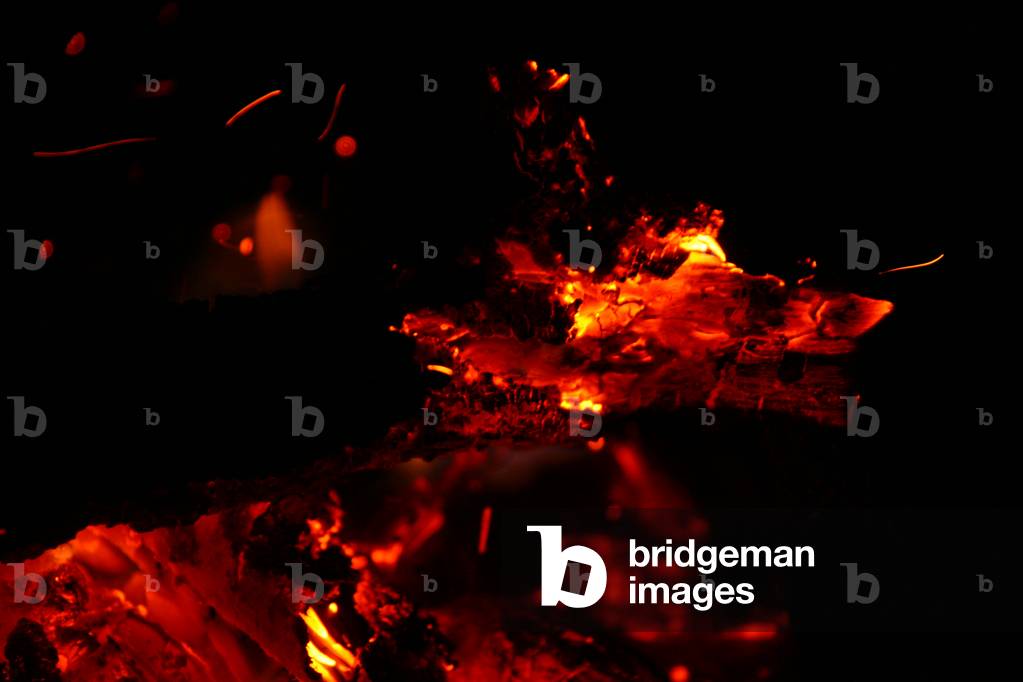 Bild von Fotografie "Calcipher" von Lorna Buchanan-Jardine