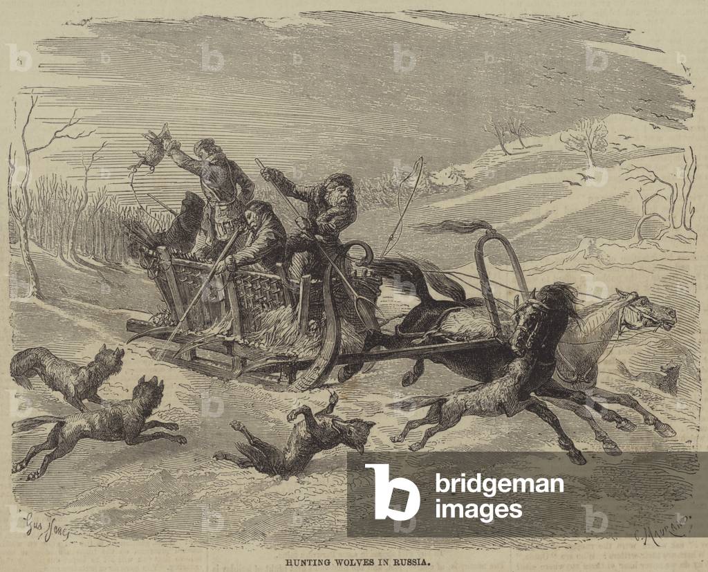 Jagdwölfe in Russland (Gravur)