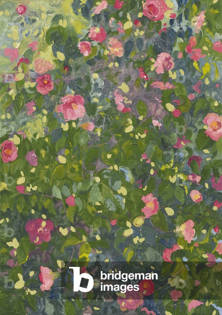 Immagine di Dipinto "Camelia in Fiore", 2014 di Leigh Glover