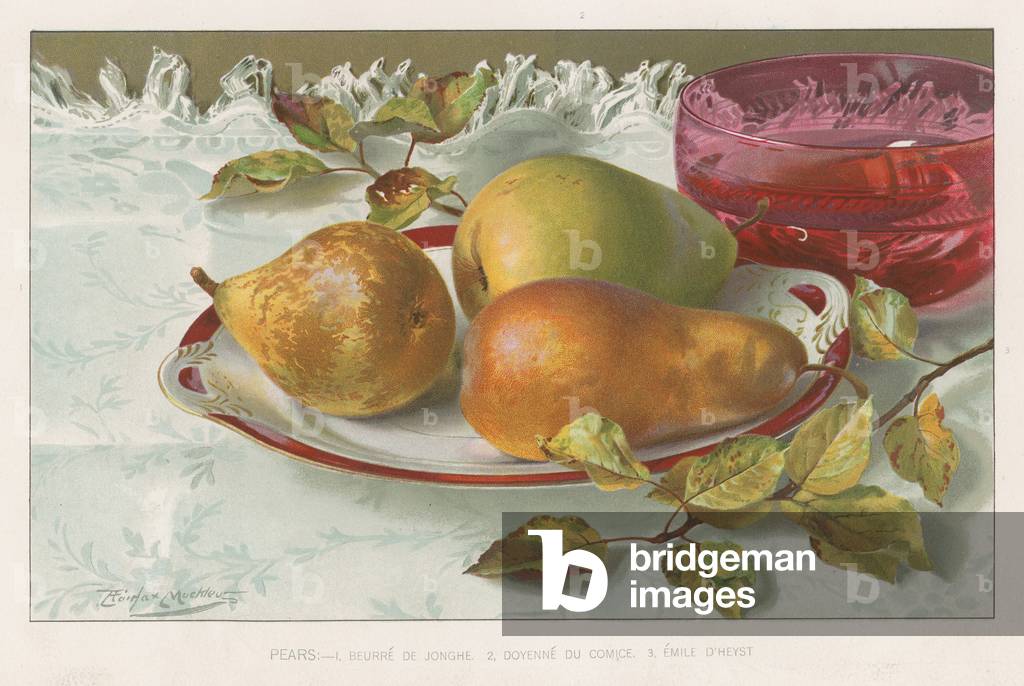 Pears (colour litho) by English Artist