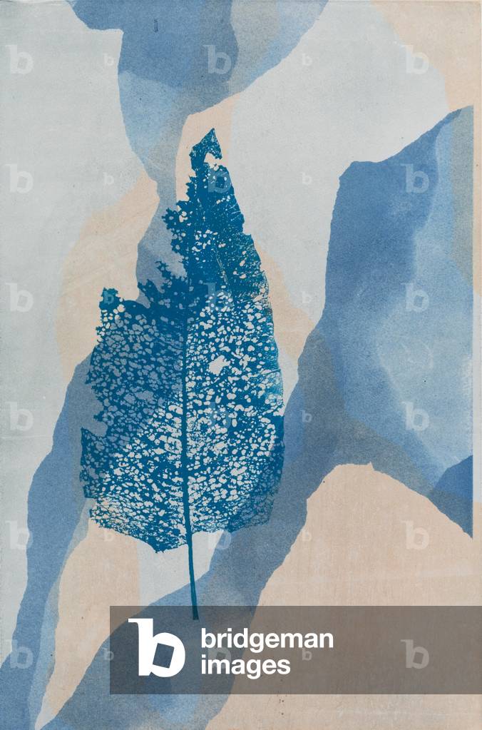 Floating Blue Leaf, 2016 (carta monostampa)