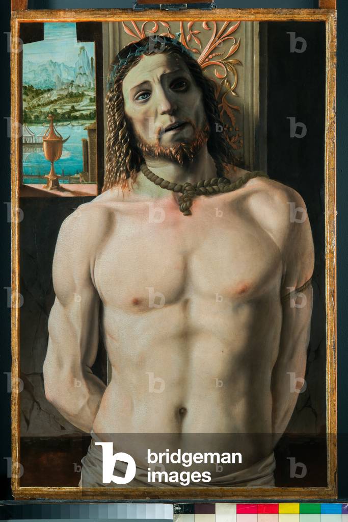 Christus an die Säule gebunden, 1490-99 (Öl auf Karton)