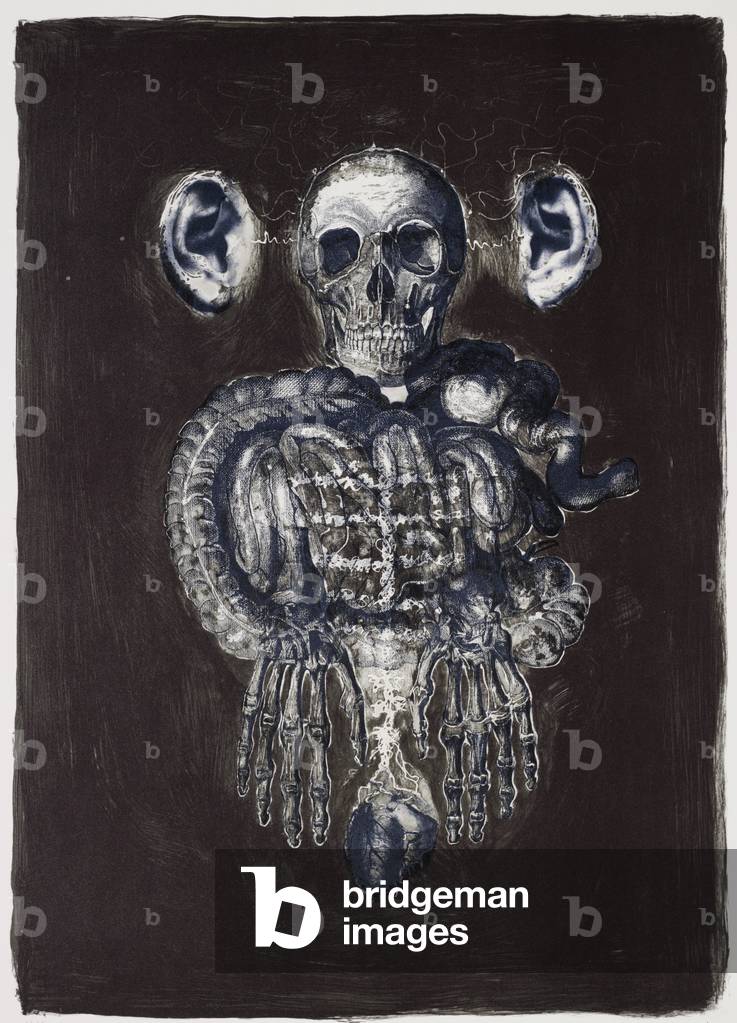 Reassembling the Self 6, 2012 (lithograph)