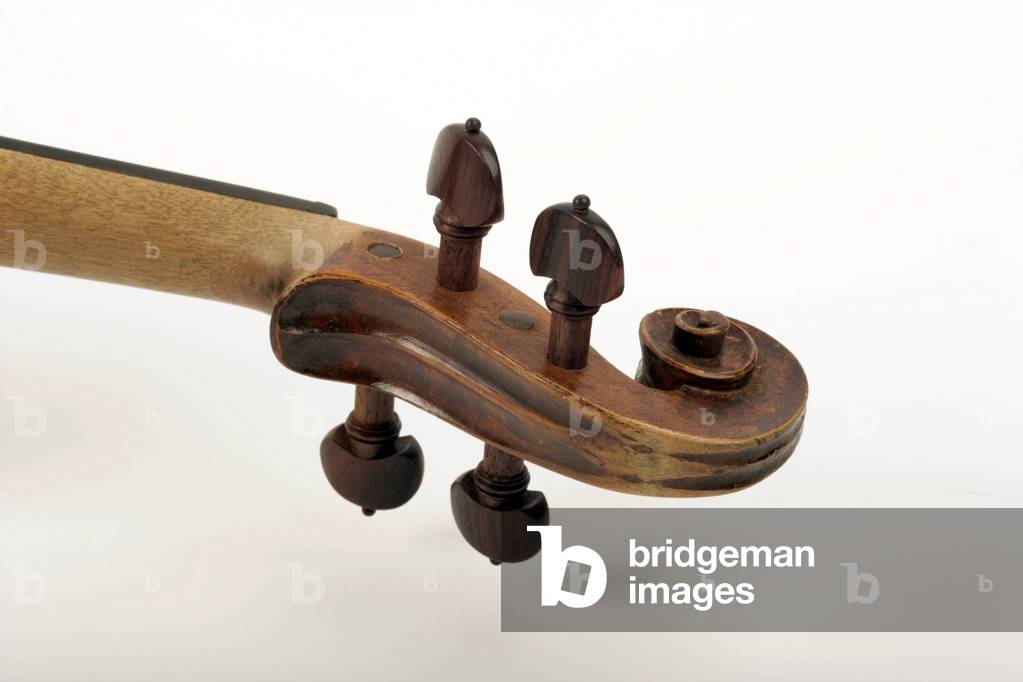 Violon