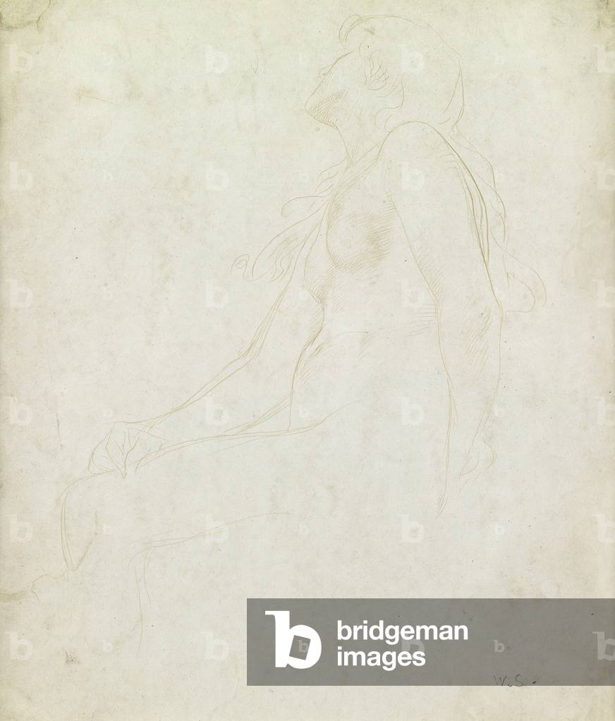 Studio di un nudo (goldpoint su carta)