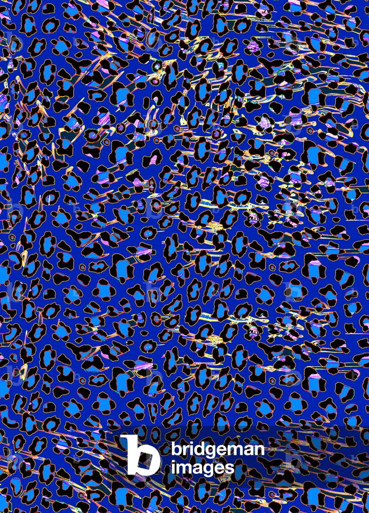 Leopard Print 7 (stampa digitale)