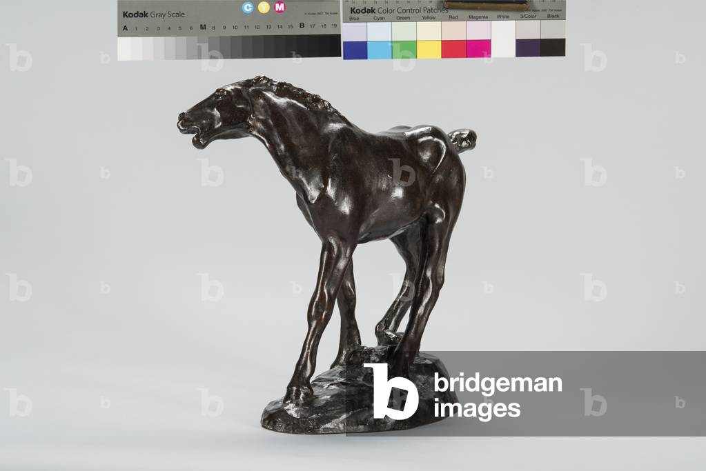 Colt (bronzo)