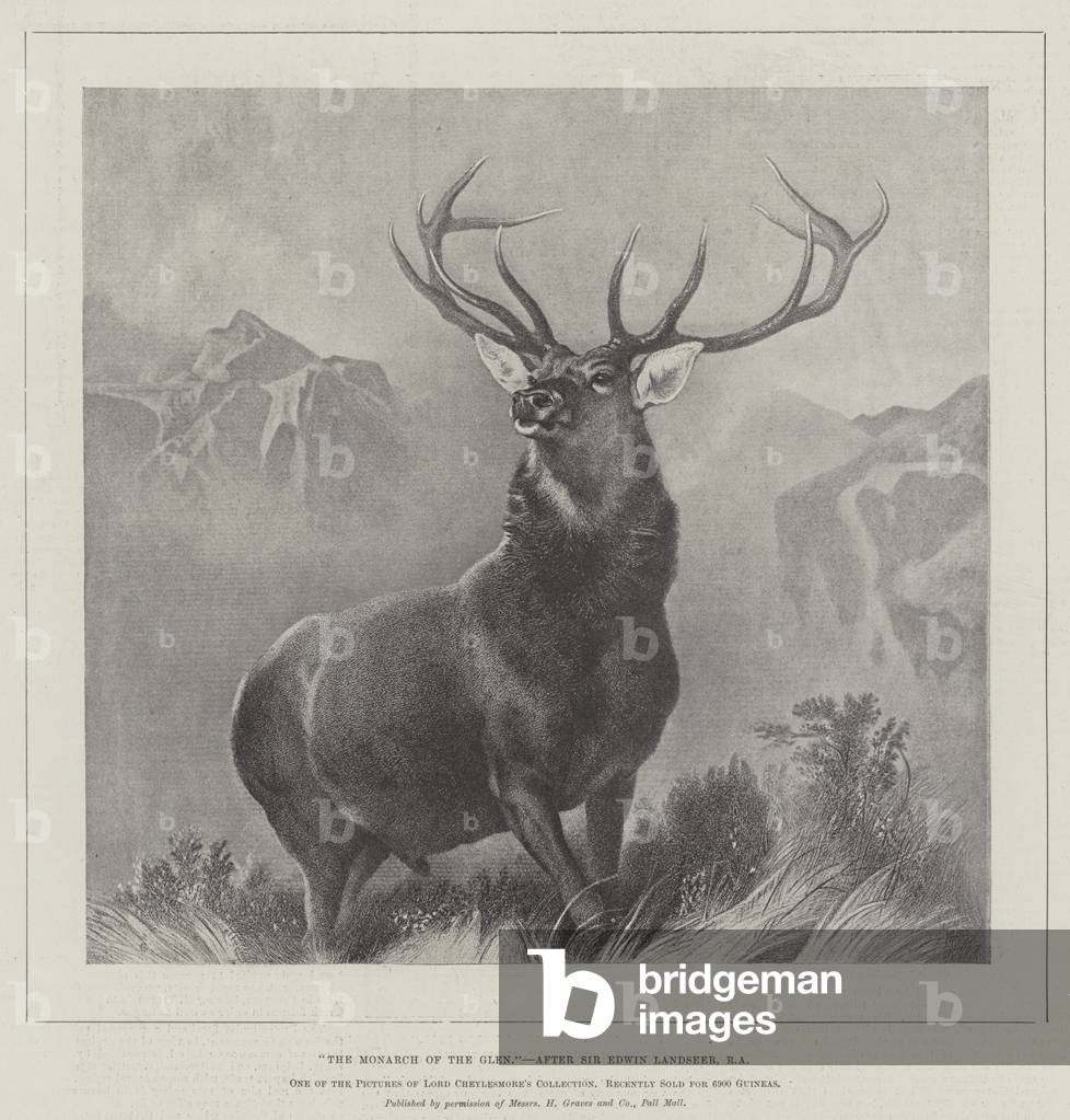 "Der König der Glen (Gravur)" 1892 von Edwin Landseer