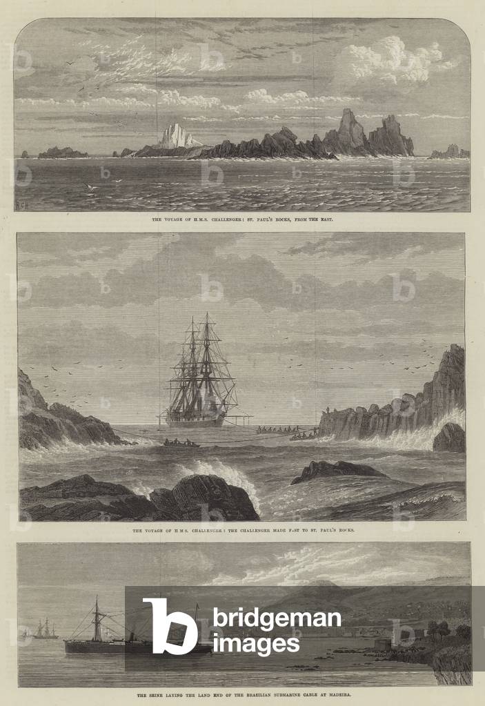 "die Reise von HMS Challenger" 1873 von English School, b/w
