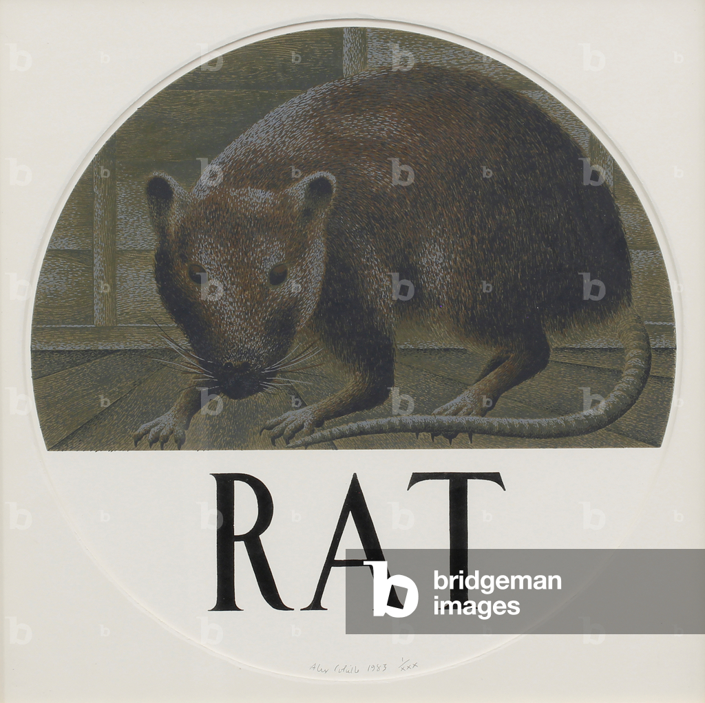 Rat, 1983 (serigraph)