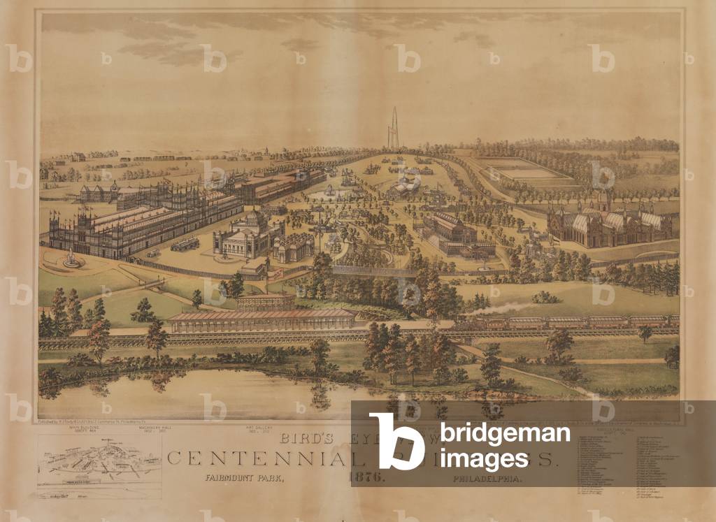 "Vista dall'occhio degli uccelli", 1875 di American School, b/w