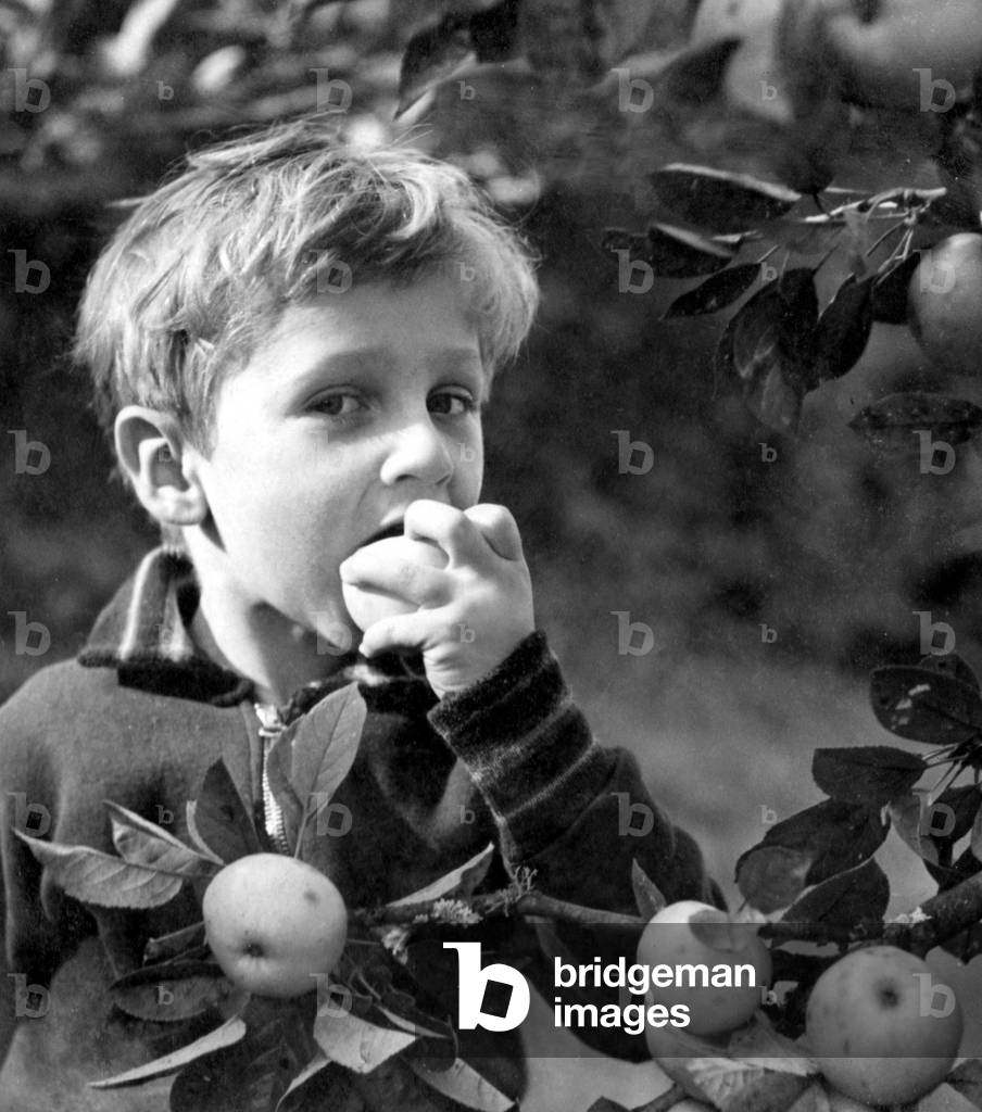 Image of Photography depicting The Apple 1939 by Walter Limot, b/w