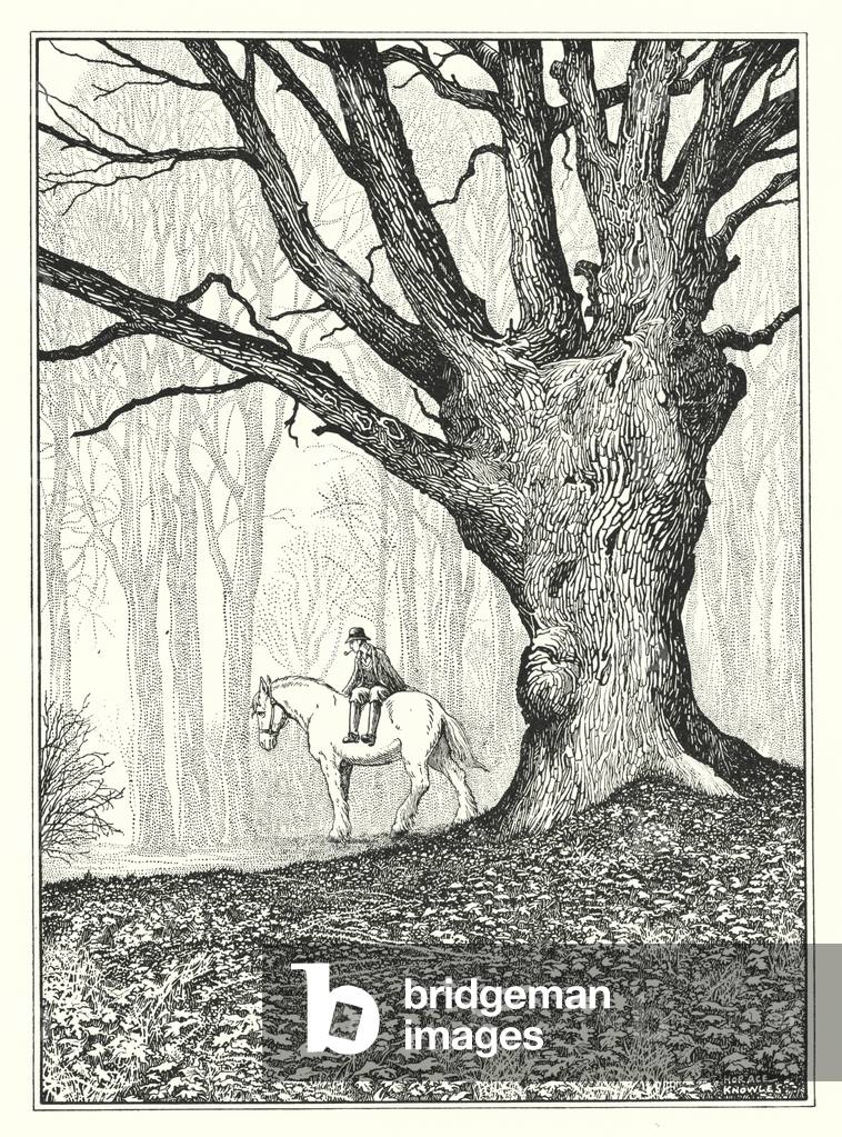 November (Litho)