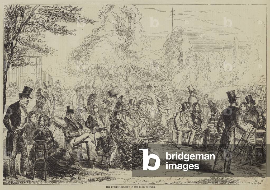 "I Giardini Botanici nel Parco Regent's (incisione)" di English School, b/w