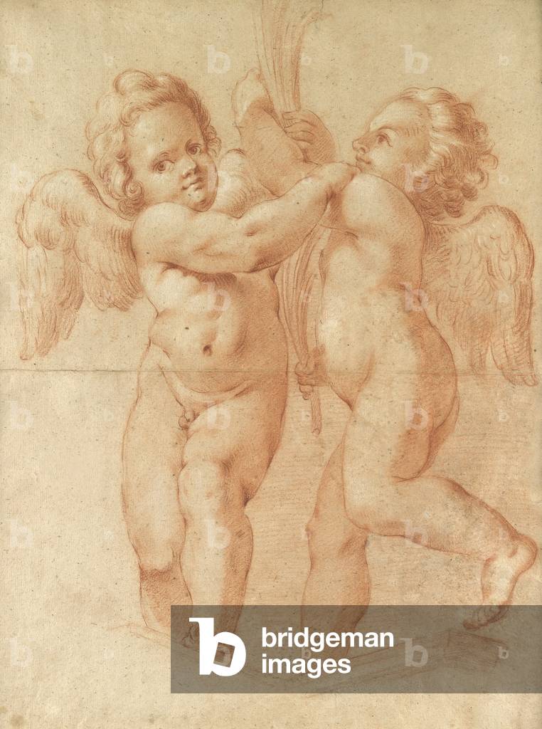 Immagine di Disegno "Due Putti Holding foglie di palma (gesso rosso su carta)" di Agostino Carracci, b/w