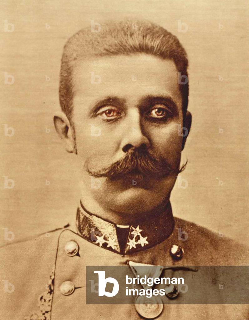 Ritratto dell'arciduca Francesco Ferdinando c. 1893 (foto b/n)
