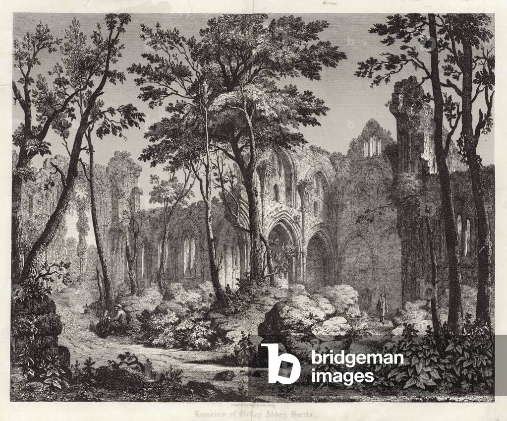 Resti dell'abbazia di Nelley in Hampshire (incisione)