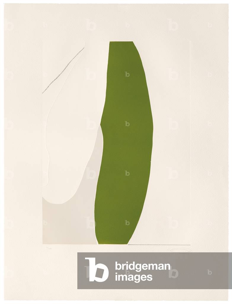 Voici des fleurs (portefeuille de 8) 2006 par Gary Hume
