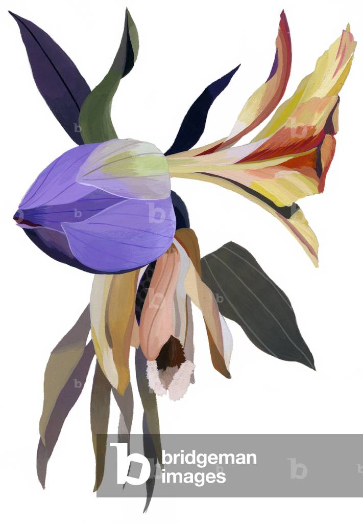 Fleurs imaginaires 2003 par Hiroyuki Izutsu