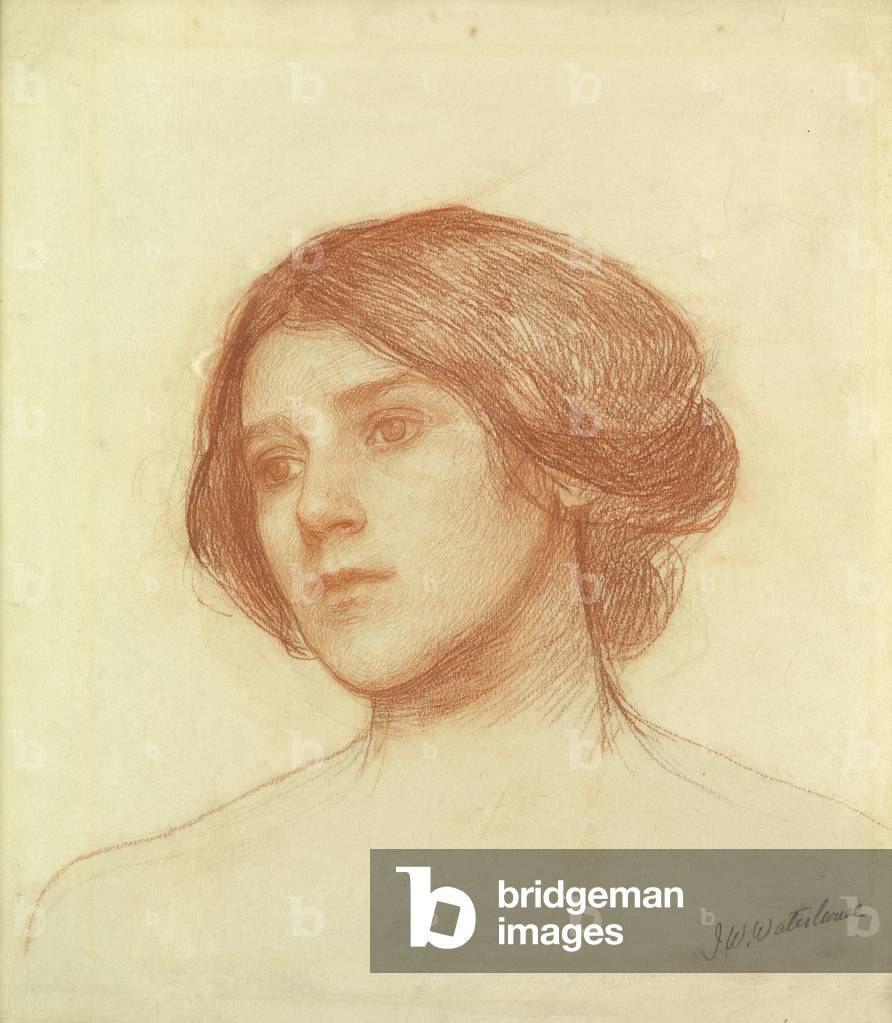 Head of a Girl (red chalk on paper)