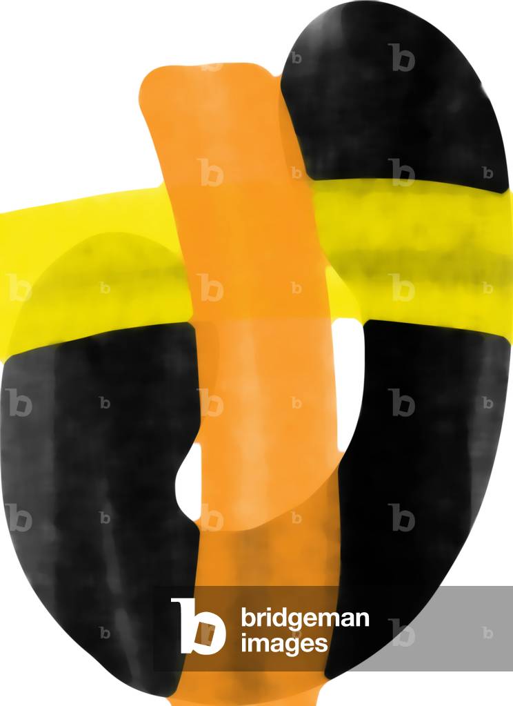 Biologia, 2017 (digitale)