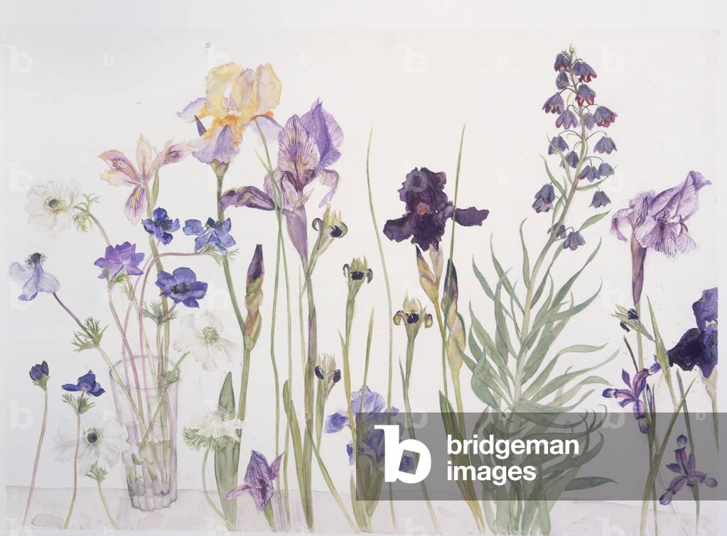 Mixed Flowers, 2004 (w/c on paper)