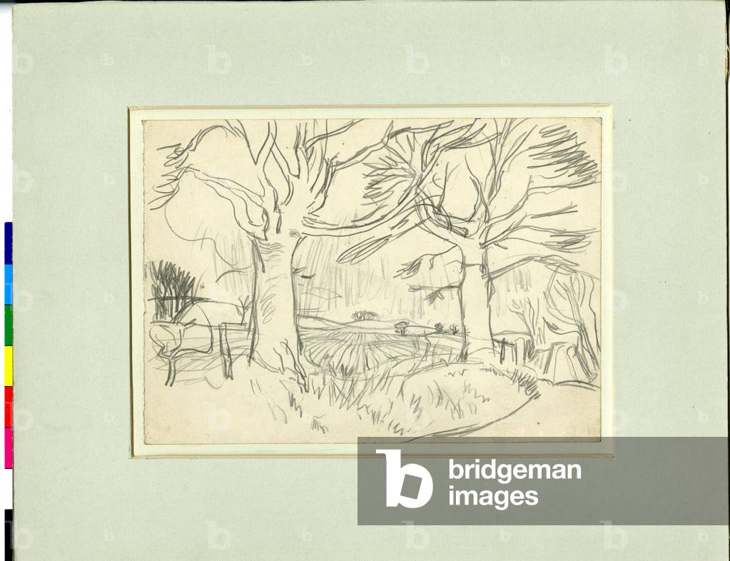 Bild von Zeichnung "Zwei Bäume und Landschaft mit gepflügtem Feld (Bleistift auf Papier)" von William George G