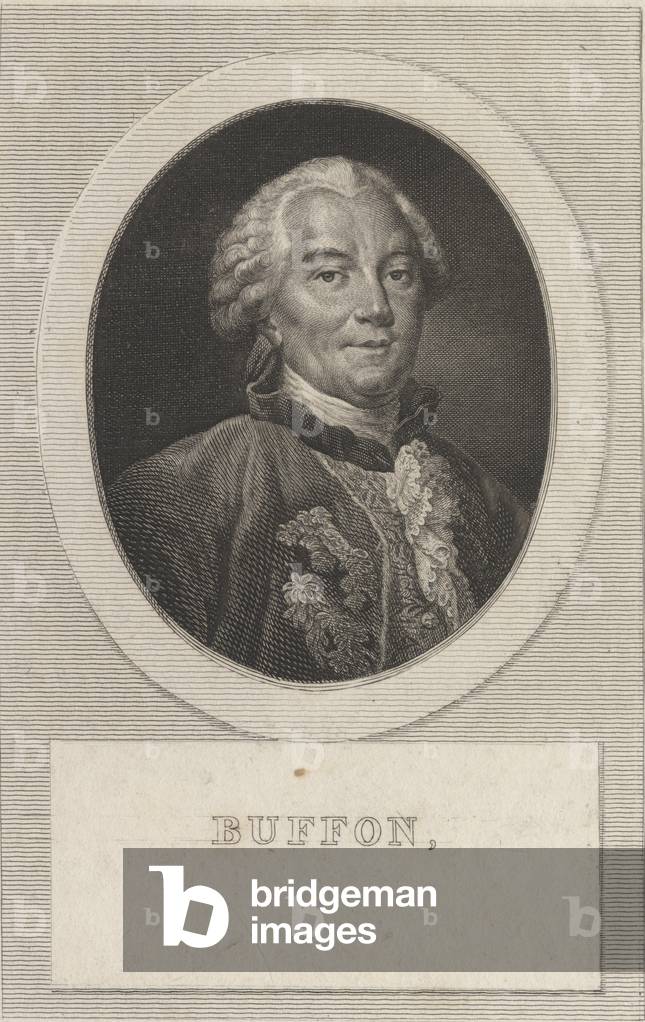"Porträt von Georges-Louis Leclerc", b/w
