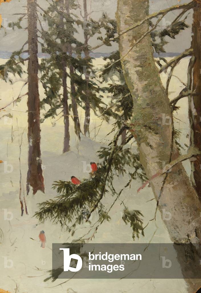 "landschaft mit vögel auf dem Weißen Meer", 1958 von Vadim Trofimov