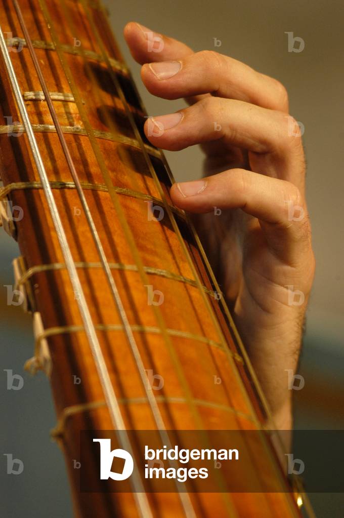 Tastiera in tiorba e dita del musicista.