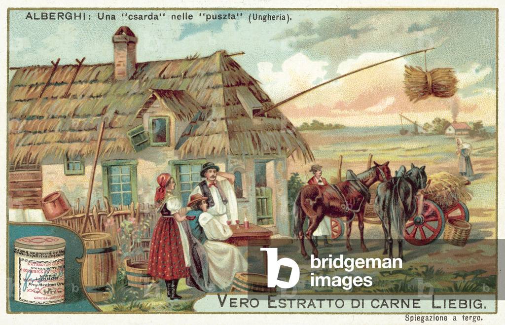 Immagine di Stampa "Csarda" di European School