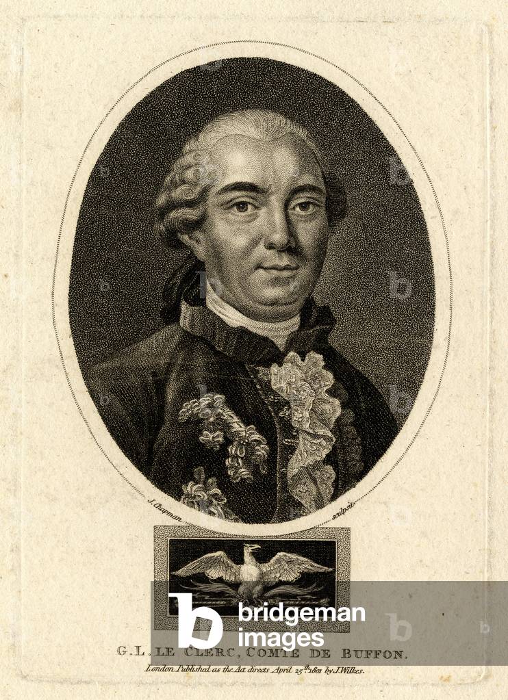 "Georges-Louis Leclerc", b/w