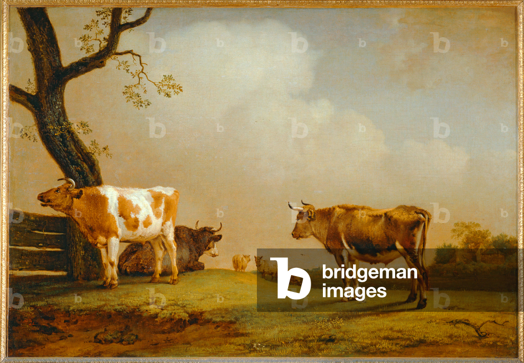 Immagine di Dipinto "La Prairie. 1652 ..." di Paulus Potter