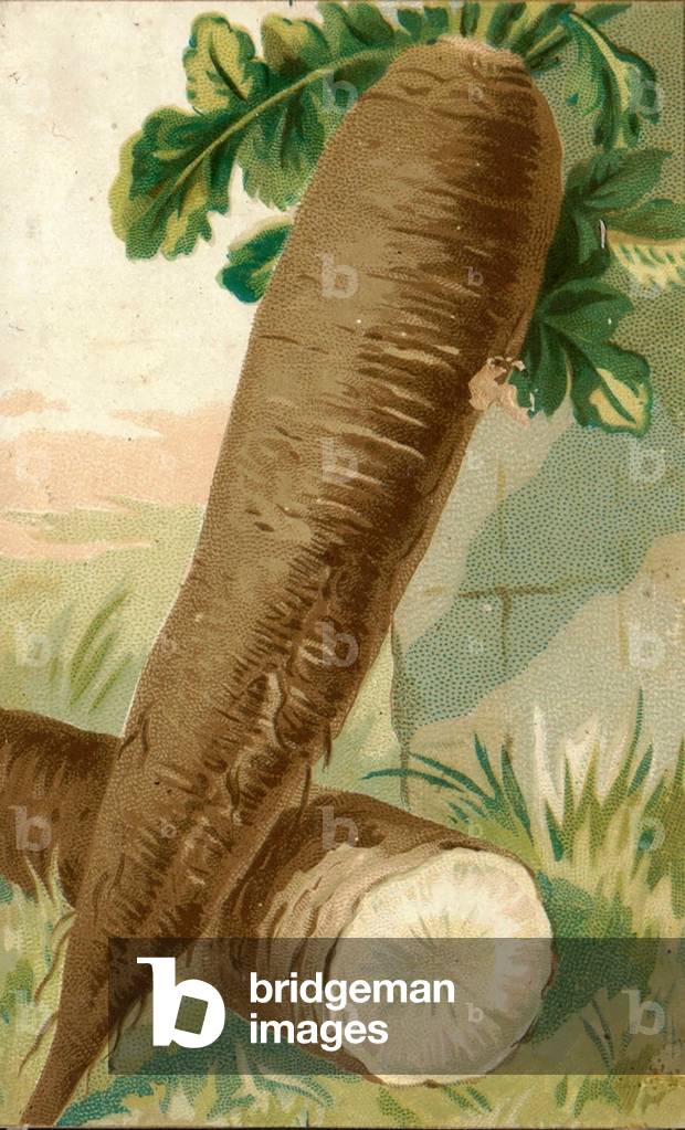 "Illustration" 1900 von Russian School