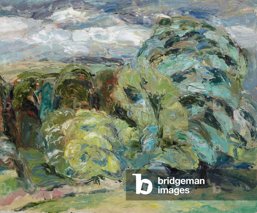 Image de Peinture représentant Paysage d'été (huile sur toile) par William George Gillies