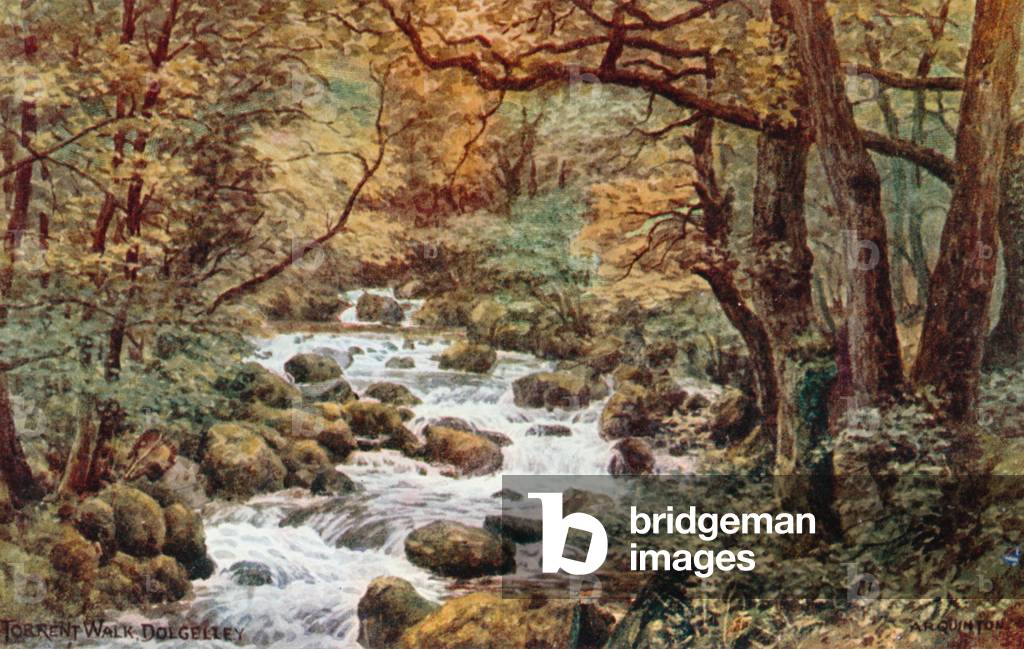 Torrent Walk by Alfred Robert Quinton